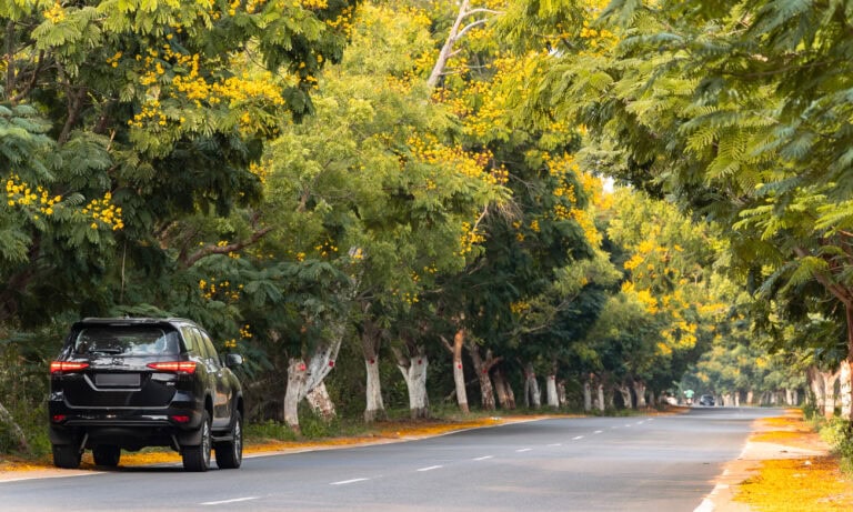 A Memorable Road Trip to Arunachal and Meghalaya – Part 1