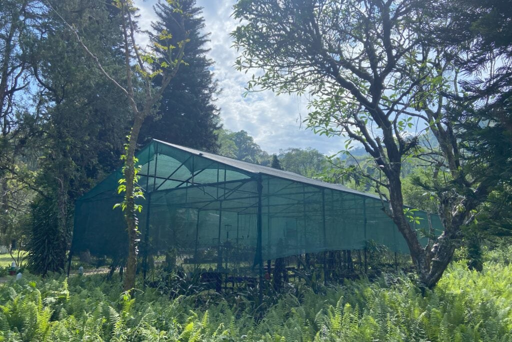 One of the several greenhouses