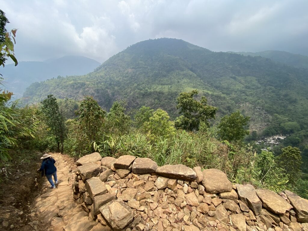 Stone steps descending through bamboo plantation