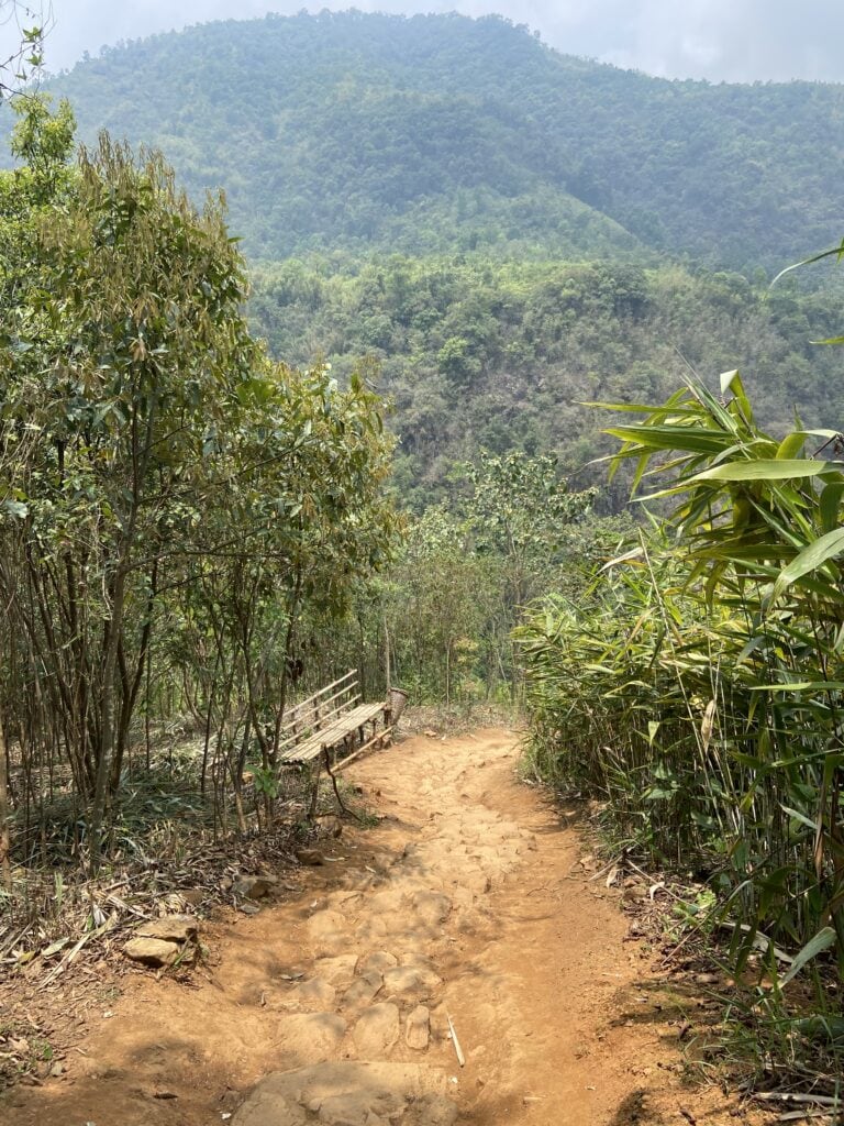 Bamboo benches to rest