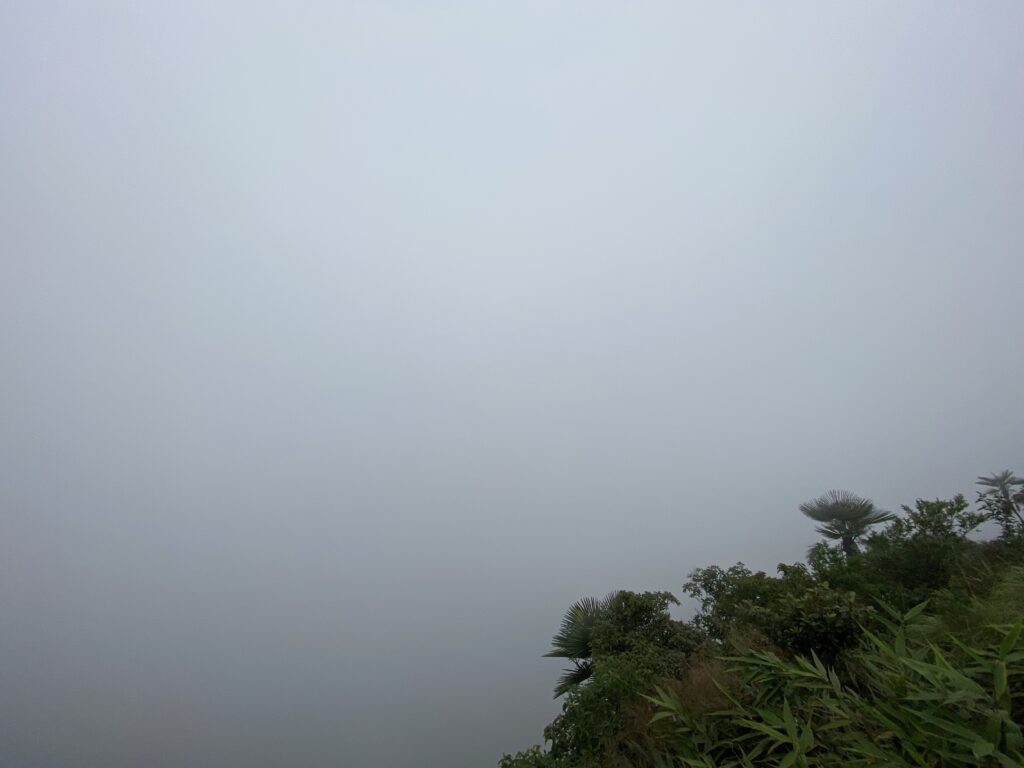 The valley covered in mist