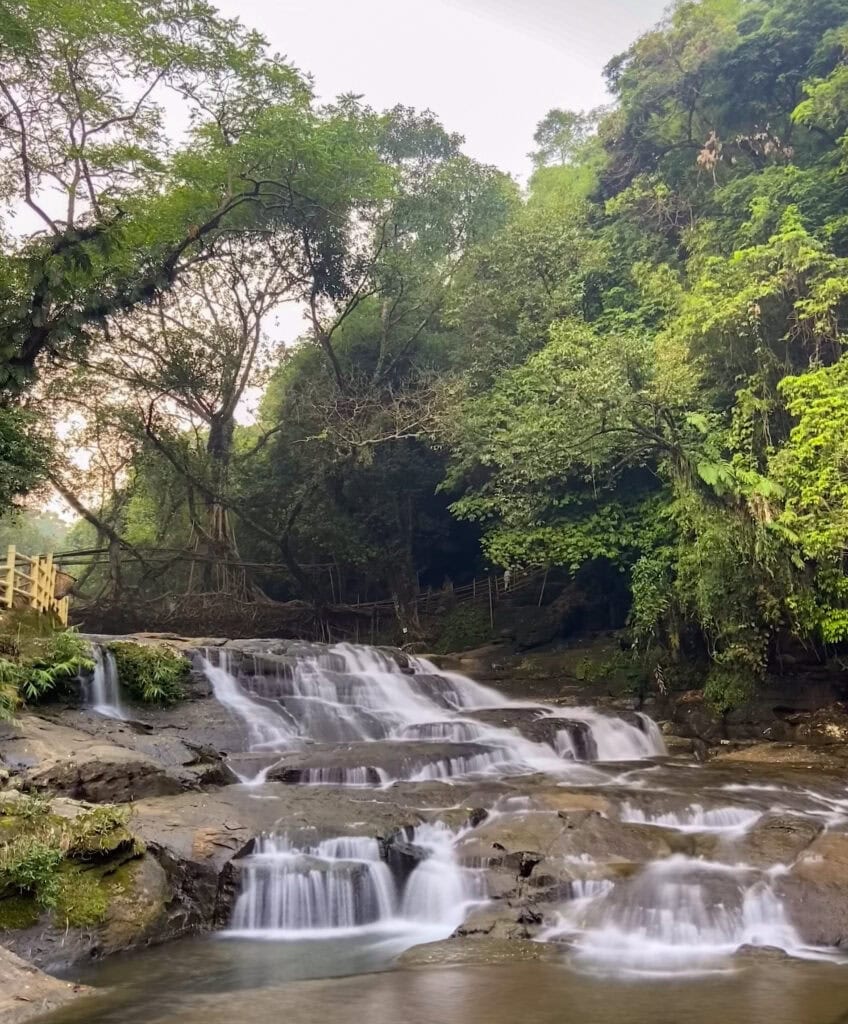 The river and the bridge