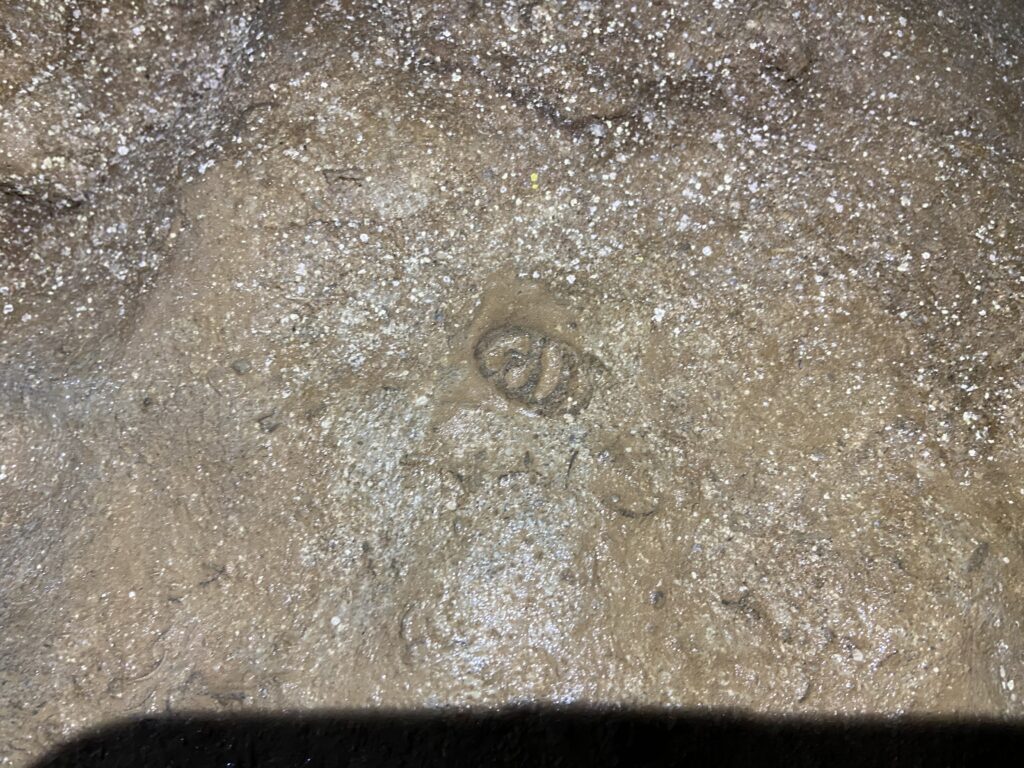 Fossils on the rock - Arwah cave