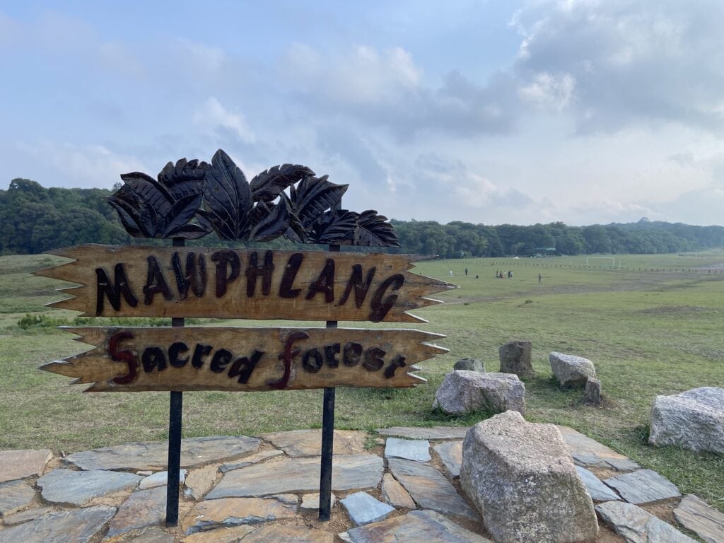 Mawphlang sacred forest