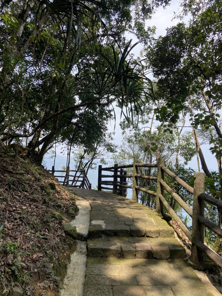 The path to the cave