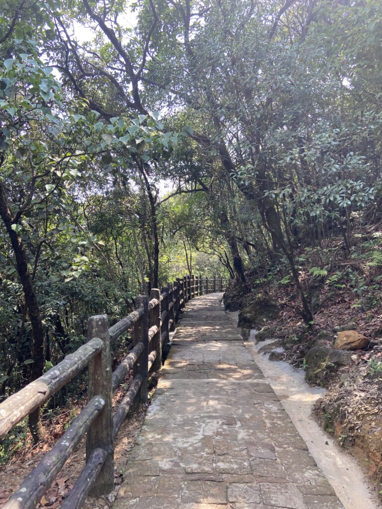 The path to the cave