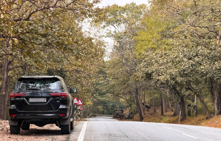 A Quiet Escape into Coffee Country – A Drive to Somwarpet