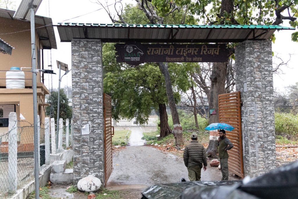 The rajaji park gate opens for safari